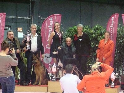 CH. Heross des vergers de la combe - 2 ème BEST IN SHOW