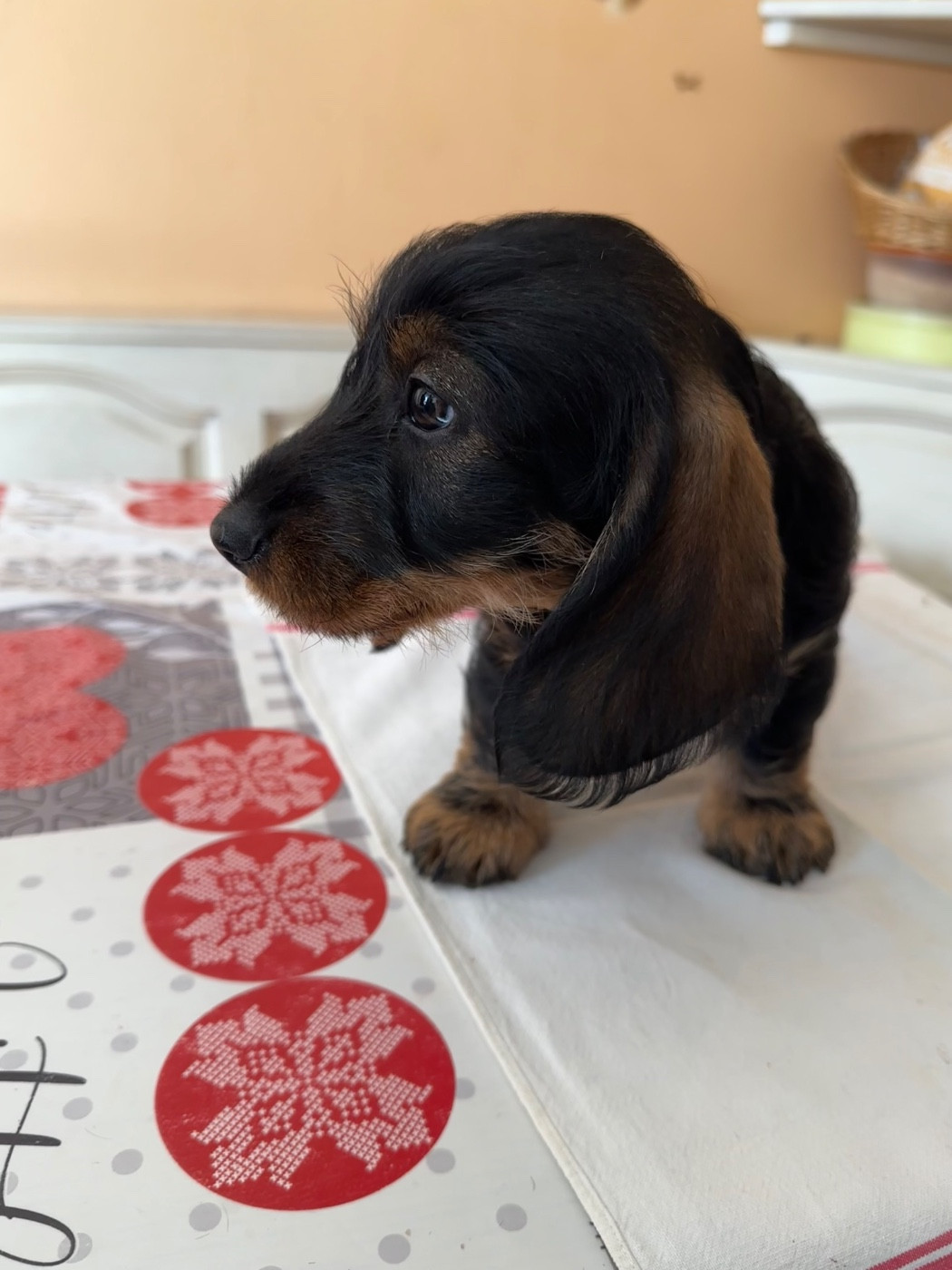 Betty