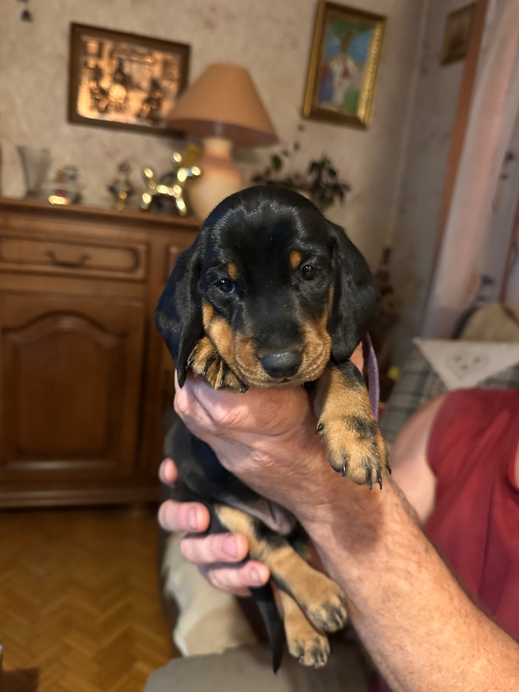 Bengie
