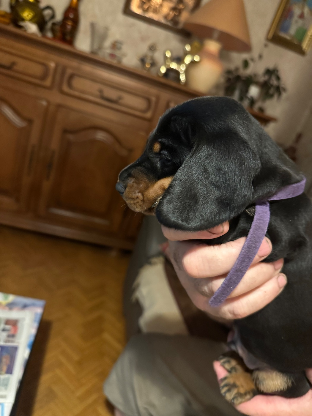 Bengie