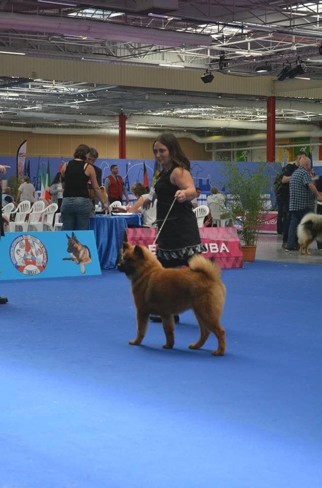 Gal'darah vom malefinkbachtal - 2ème Très Prometteur