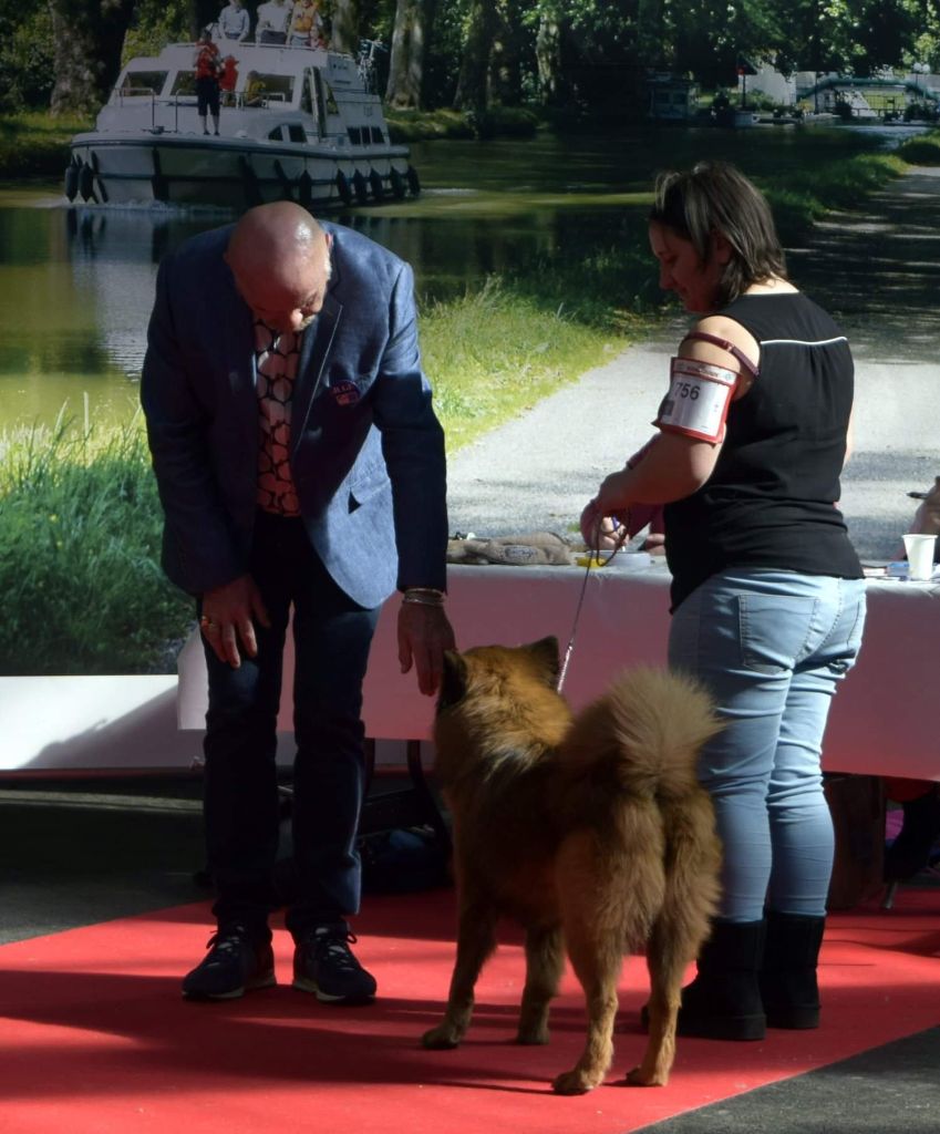 Gal'darah vom malefinkbachtal - 2ème très bon + confirmé