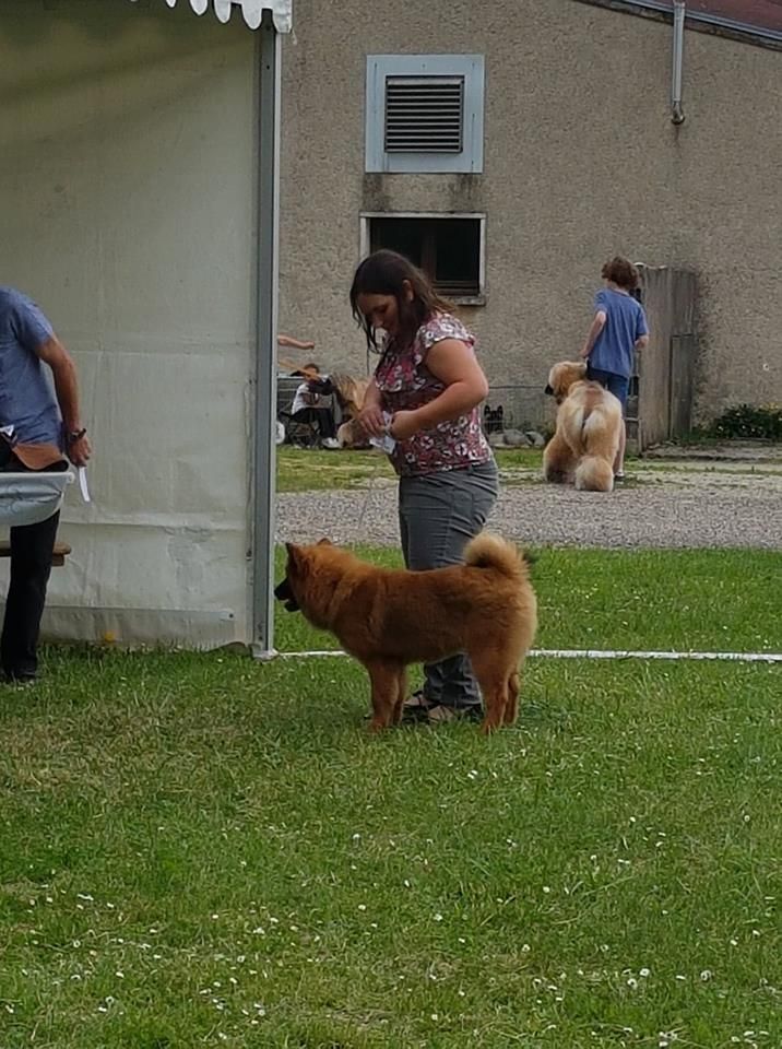 Gal'darah vom malefinkbachtal - 1ère Très Prometteur - Meilleur Baby