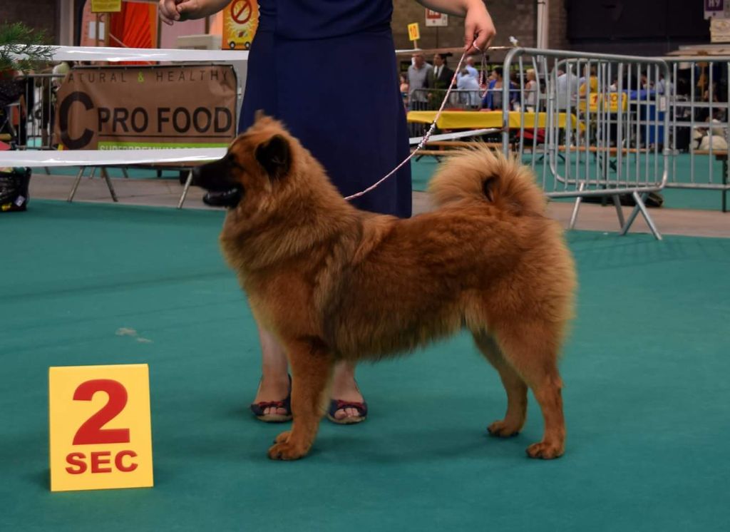 Gal'darah vom malefinkbachtal - 2ème très prometteur