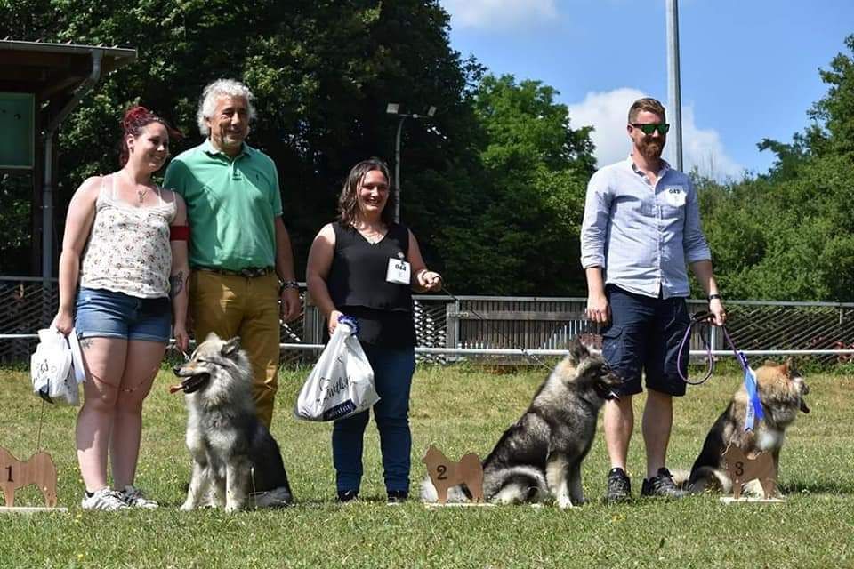 Noli Du Royaume Des Terres Gelées - 3ème excellent