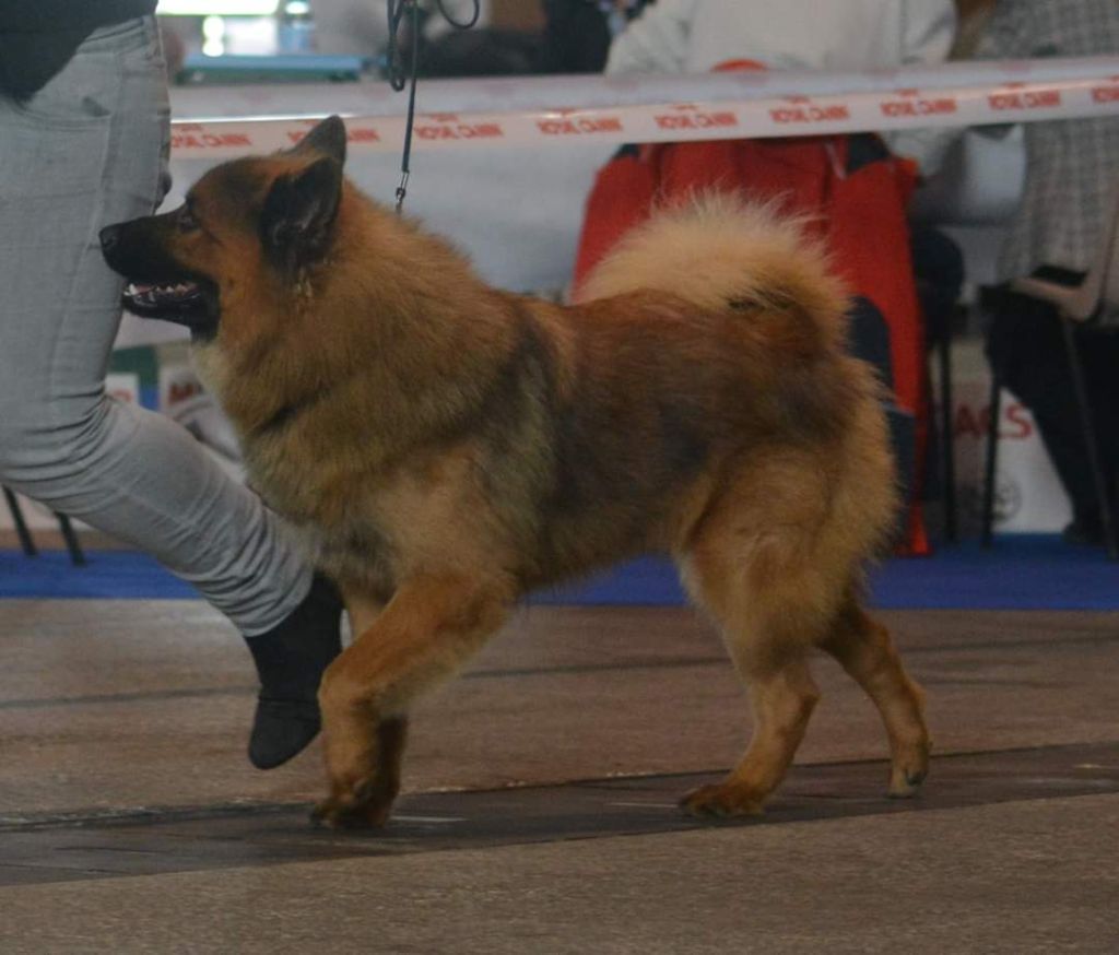 Gal'darah vom malefinkbachtal - 2ème très bon
