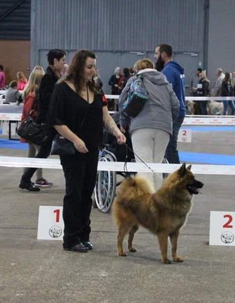 Gal'darah vom malefinkbachtal - 2ème Excellent