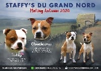 des vallées du grand nord