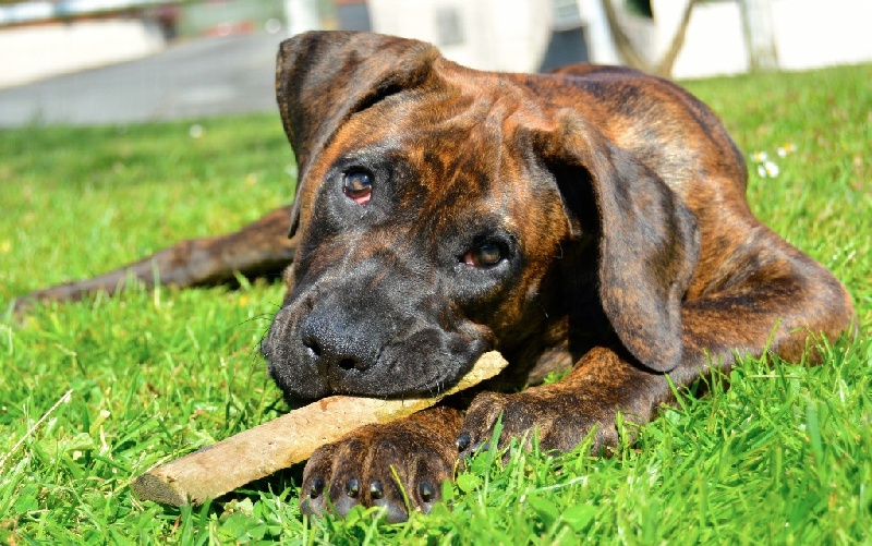 Publication : History Of Heart