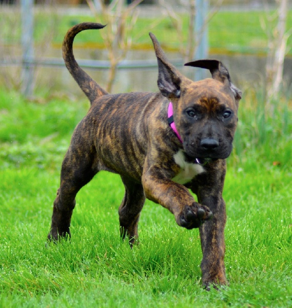 Publication : History Of Heart