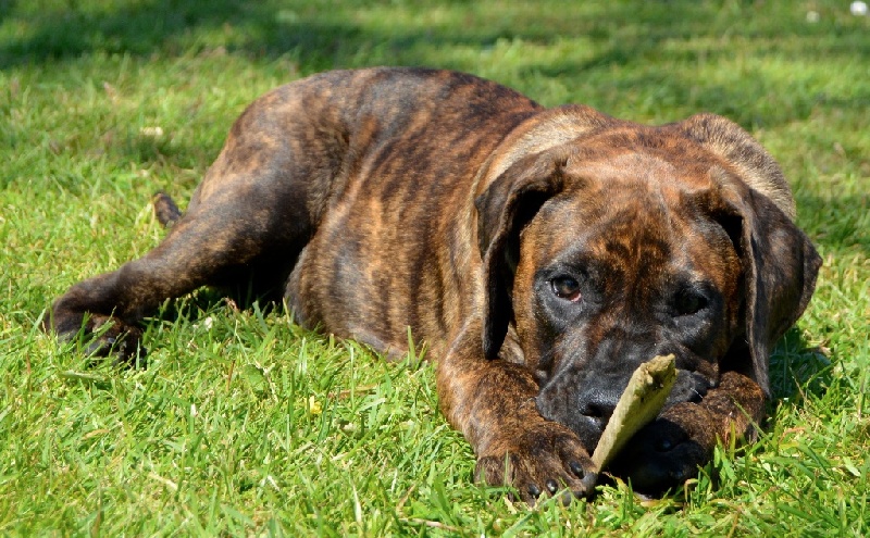 Publication : History Of Heart