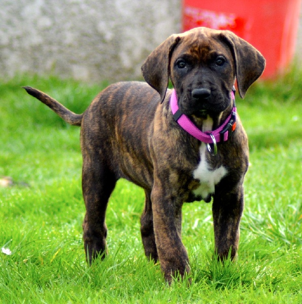 Publication : History Of Heart