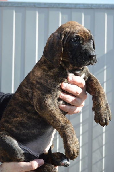 Publication : History Of Heart