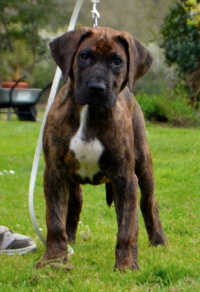 Publication : History Of Heart