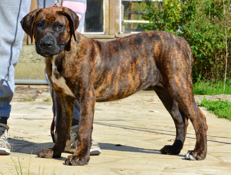 Publication : History Of Heart