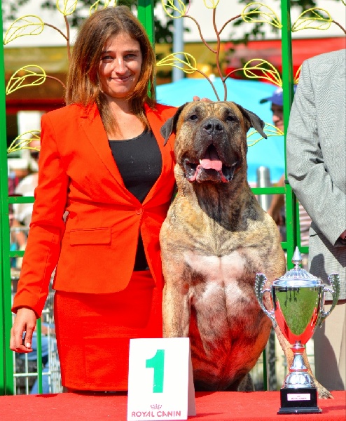 CH. Elio el Sueno del Amigo - 1er excellent Meilleur de race