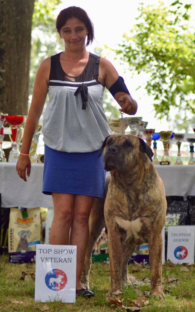 CH. Elio el Sueno del Amigo - 1er excellent Meilleur vétéran