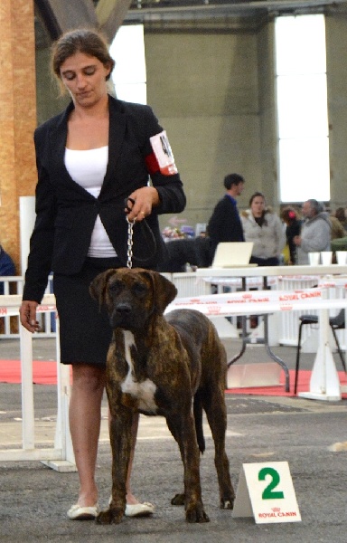 Leyenda El Corazon Del Cazador - 2nd Très bon