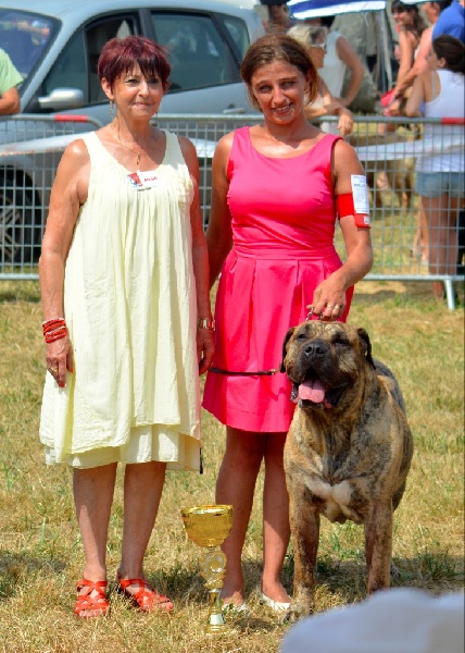CH. Elio el Sueno del Amigo - 1er excellent - Meilleur de race - Best groupe 2 - 2nd du Best in show