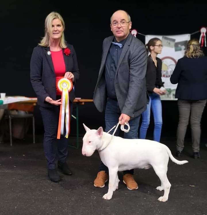 Publication : du Royal Belvédère Auteur : Estelle Herbin