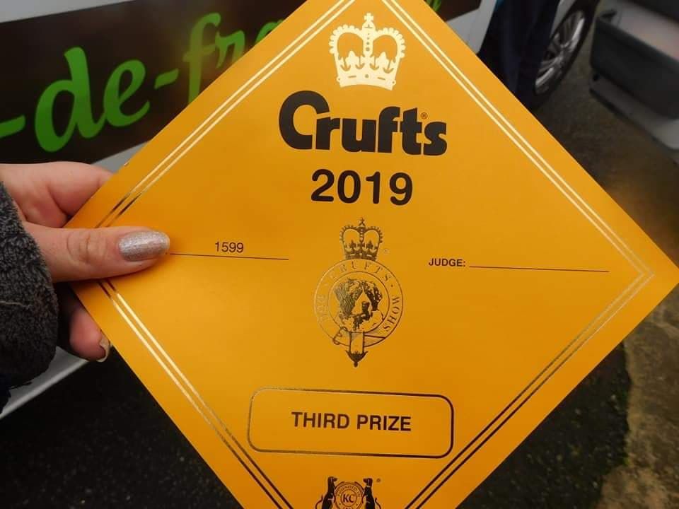 Nec plus ultra du Royal Belvédère - 3rd limit dog class