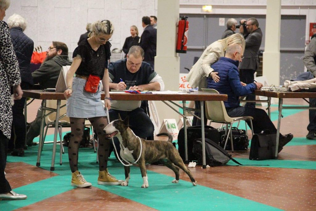 Reedition sigrid undset du Royal Belvédère - 2eme excellent + Rcacs +Rcacib