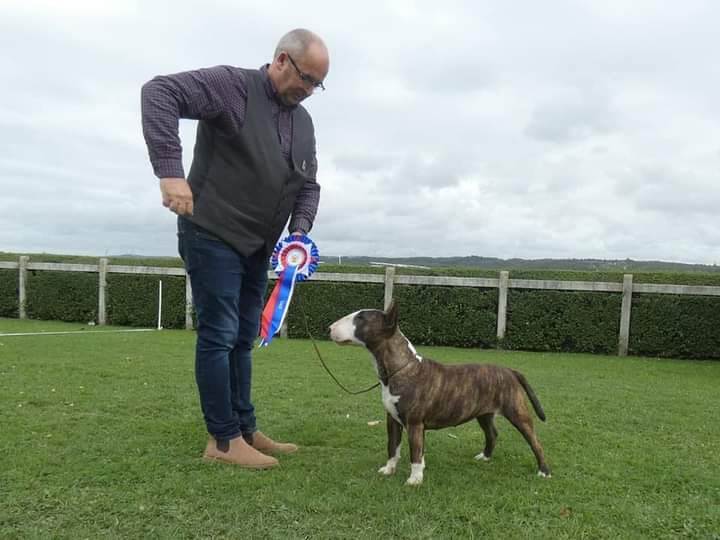 Reedition sigrid undset du Royal Belvédère - 1er excellent / Cacs / bob