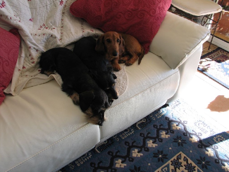 Publication : Of Black Vahine