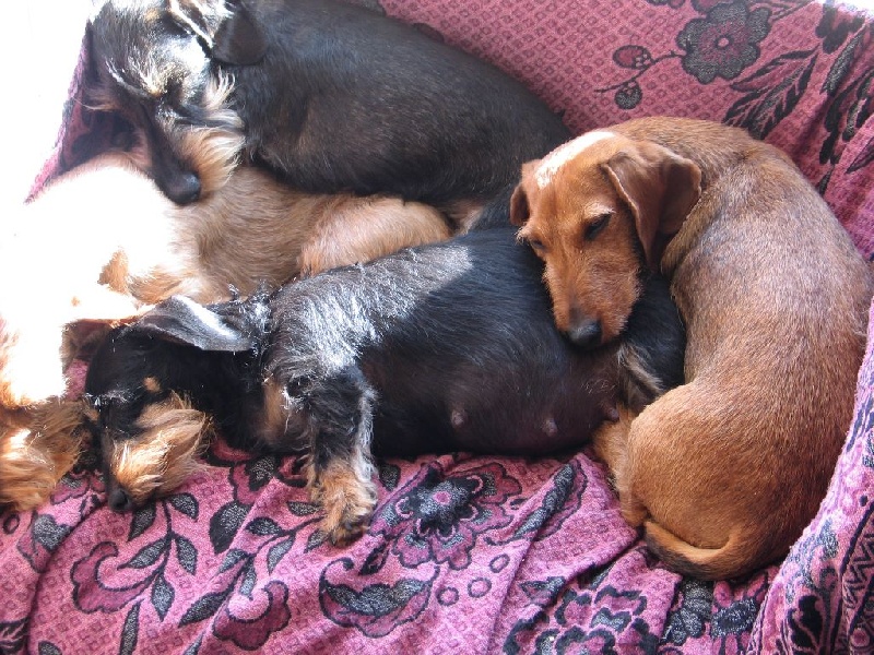 Publication : Of Black Vahine