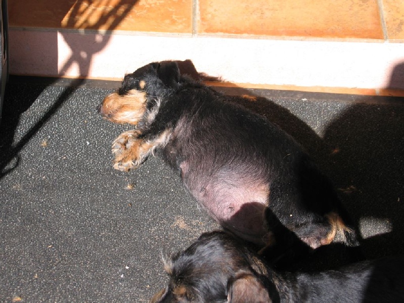 Publication : Of Black Vahine