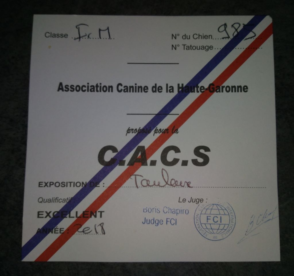 Blue Best Maximus - 1er Excellent, CAC