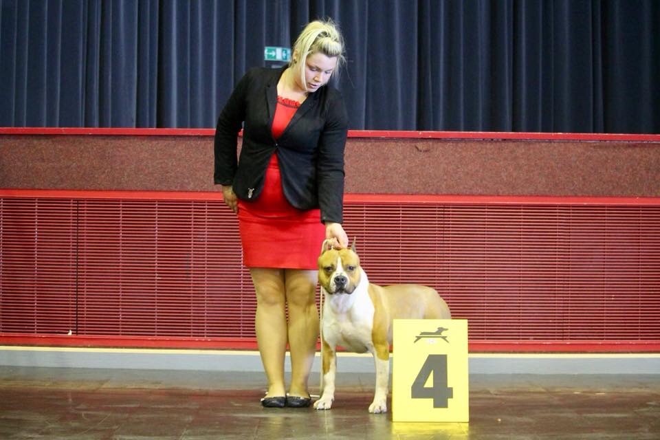 aléa jacta est No pyro no party - 4ème exl