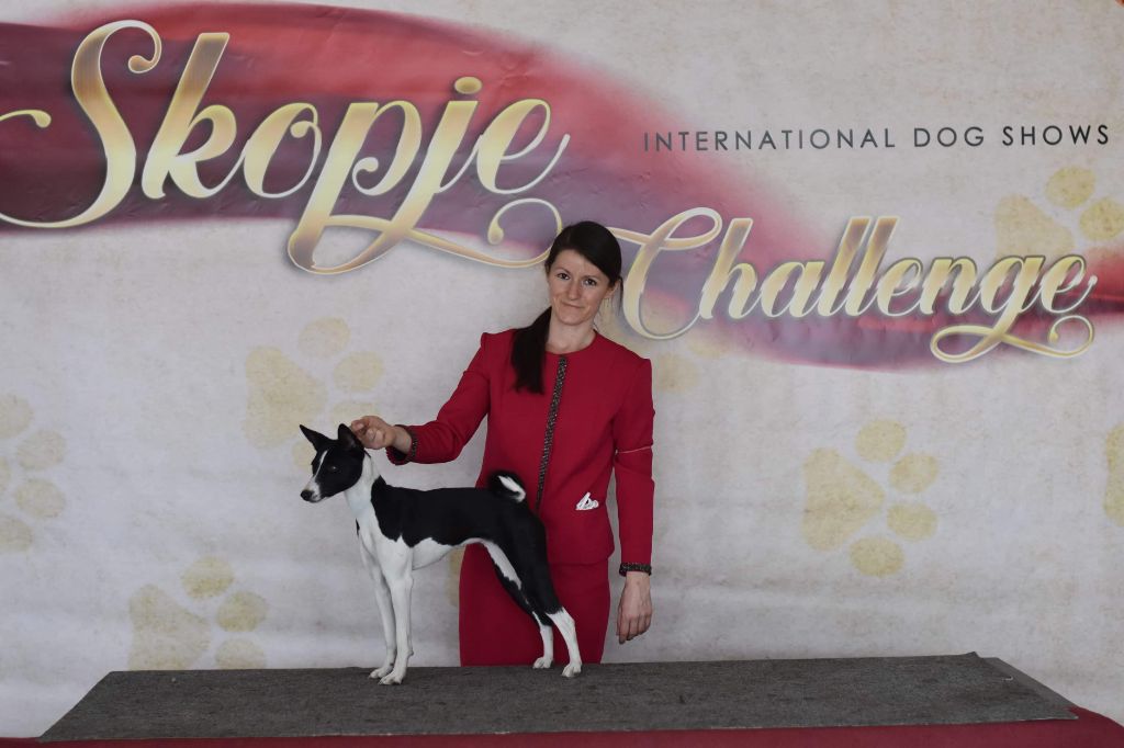 Publication : Des Evades Du Congo Auteur : Groseille choco