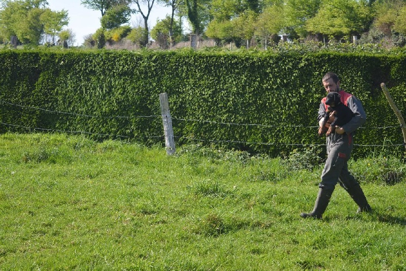 Lenox Des Collines Elfiques