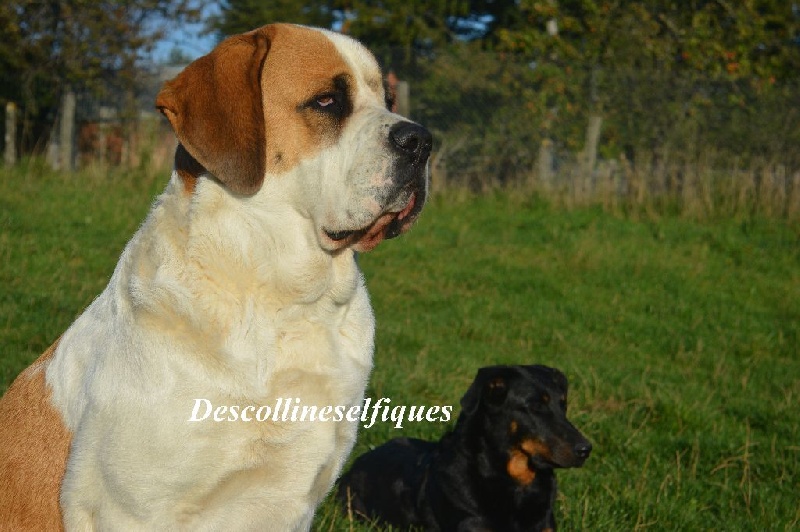 Hera de l'enclos d'Usco