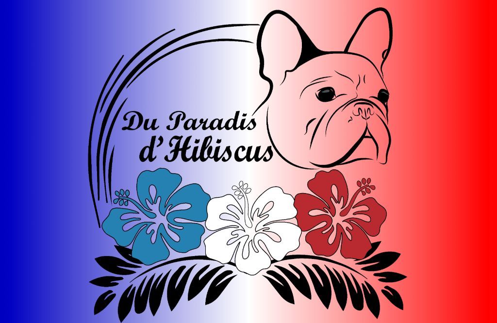 Owen Des Terres Azuréennes - 4 ème Très Bon Spé.de Race