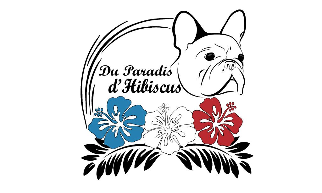 Owen Des Terres Azuréennes - 3 ème Très Bon