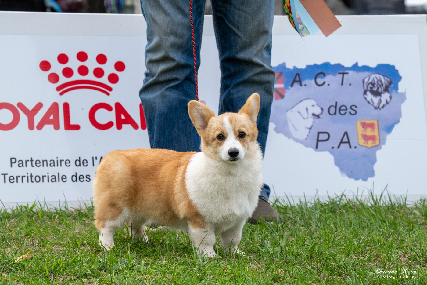 Alienor d'aquitaine De Mendiburua