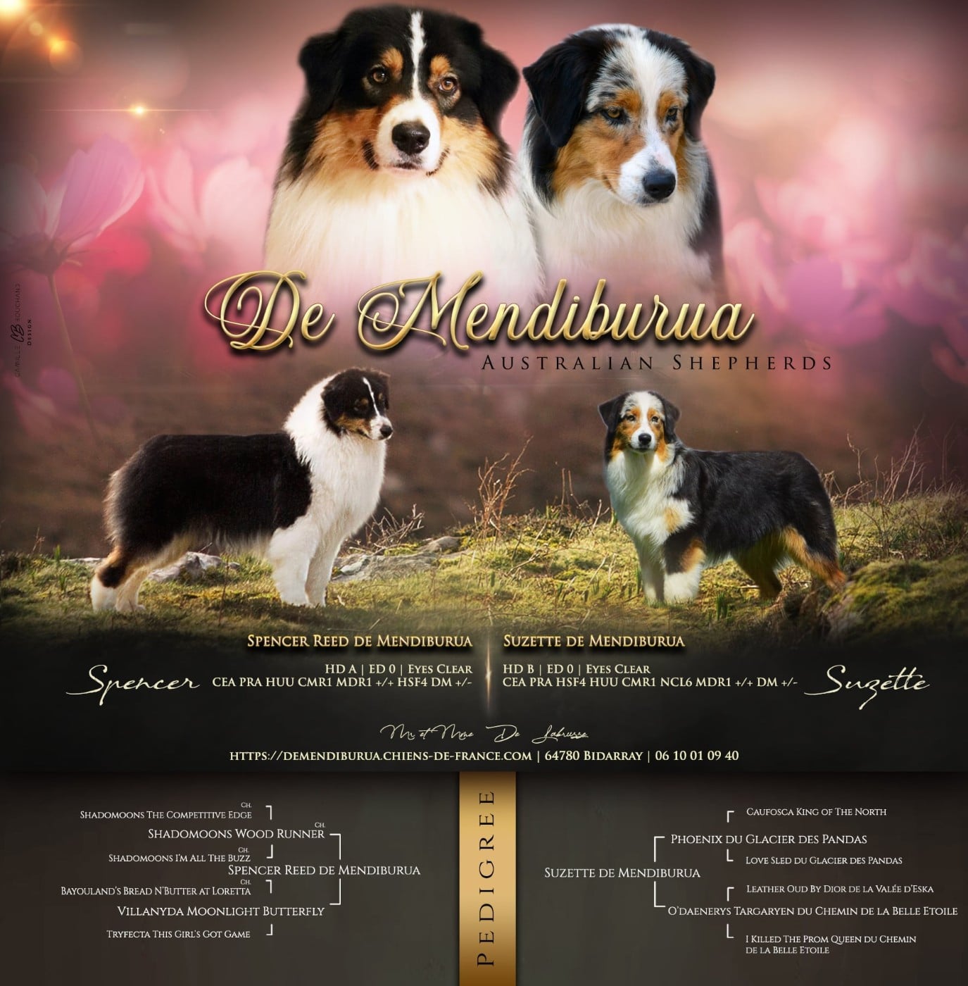 Berger Australien - De Mendiburua