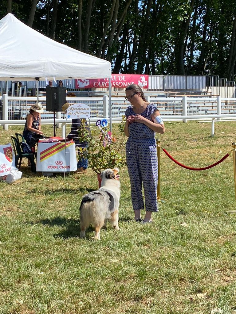 CH. Romy schneider De Mendiburua - 1ère Excellent - RCAC