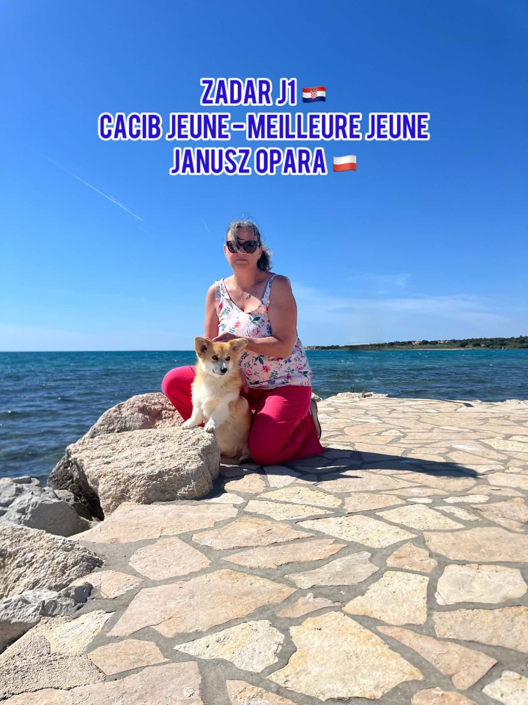 Amour ma berenice De Mendiburua - 1ère Excellent Jeune - CACIBJ - BOBJ