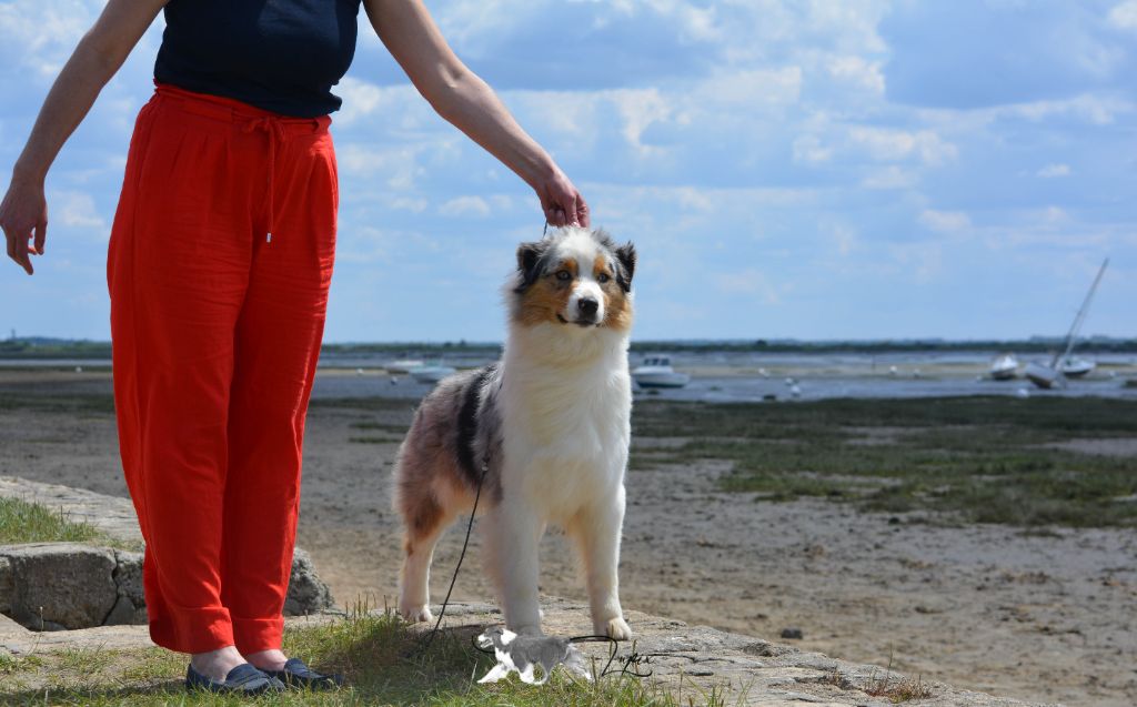 CH. Romy schneider De Mendiburua - 1ère Excellent