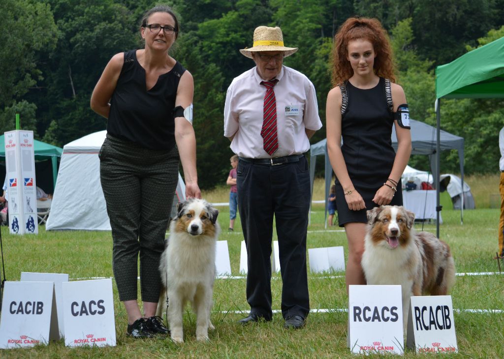 CH. Romy schneider De Mendiburua - 1ère Excellente - CACS - CACIB - BOS