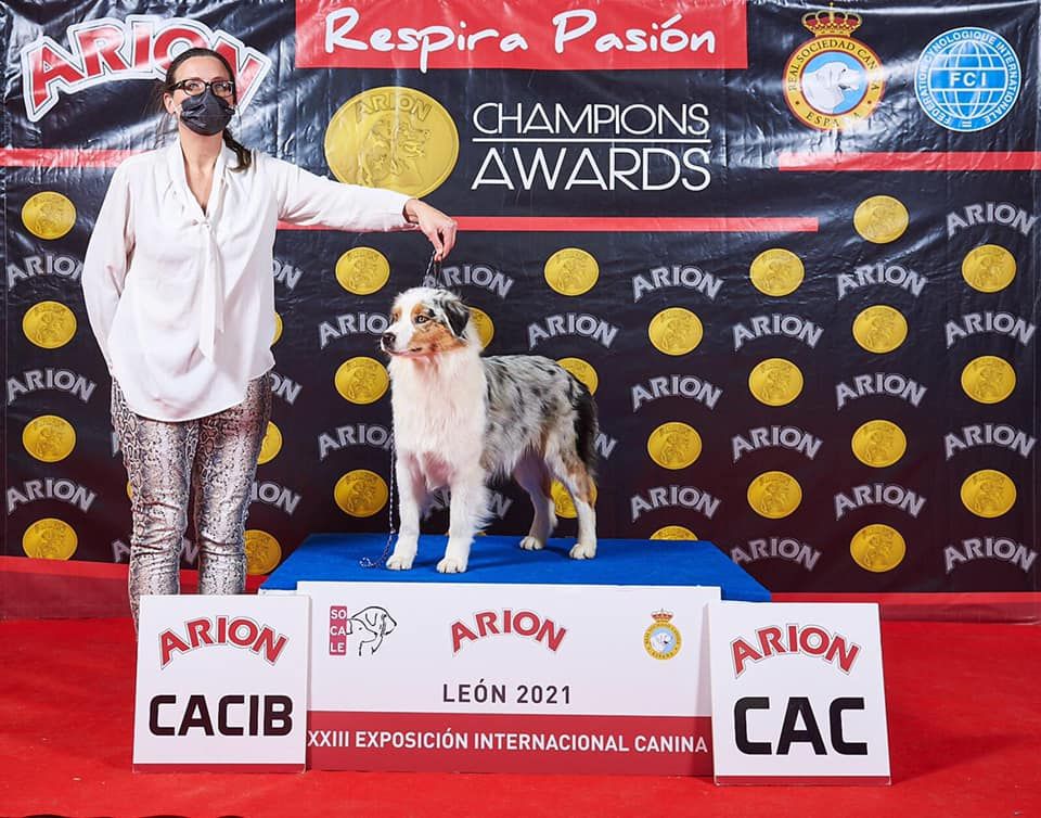 CH. Romy schneider De Mendiburua - 1ère Excellent - CAC - CACIB - BOS