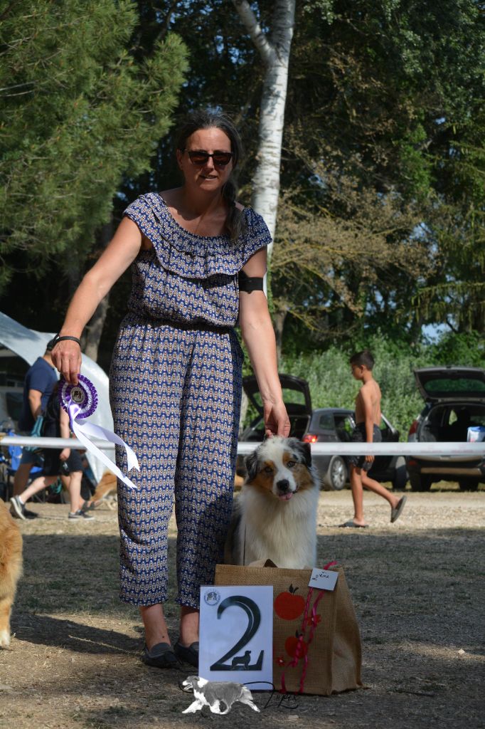 CH. Romy schneider De Mendiburua - 4ème Excellent