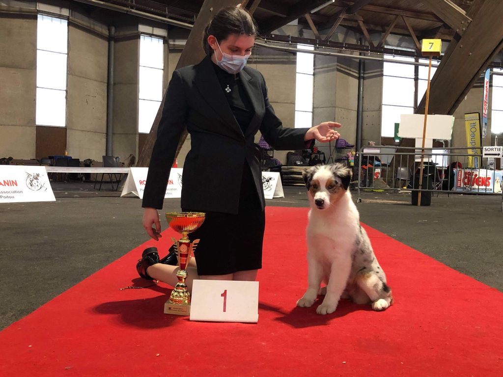 CH. Romy schneider De Mendiburua - 1ère Très Prometteur Baby