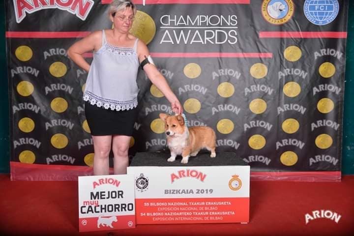 laif spring Nikoletta joy - 1ère Très Prometteur & Meilleur Puppy