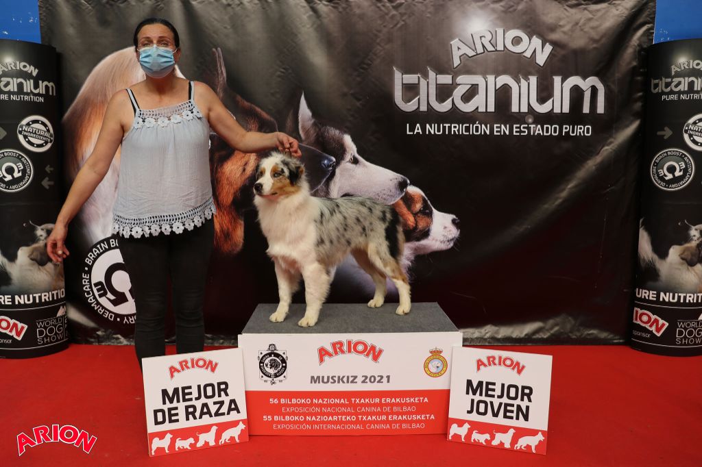 CH. Romy schneider De Mendiburua - 1ére Excellente - CCJ - BOBJ - BOB Adulte