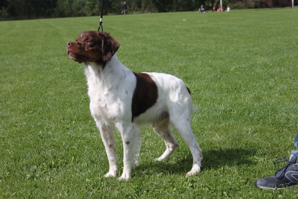 Publication : Du hameau de sorny Auteur : De L'Empire Hunnike