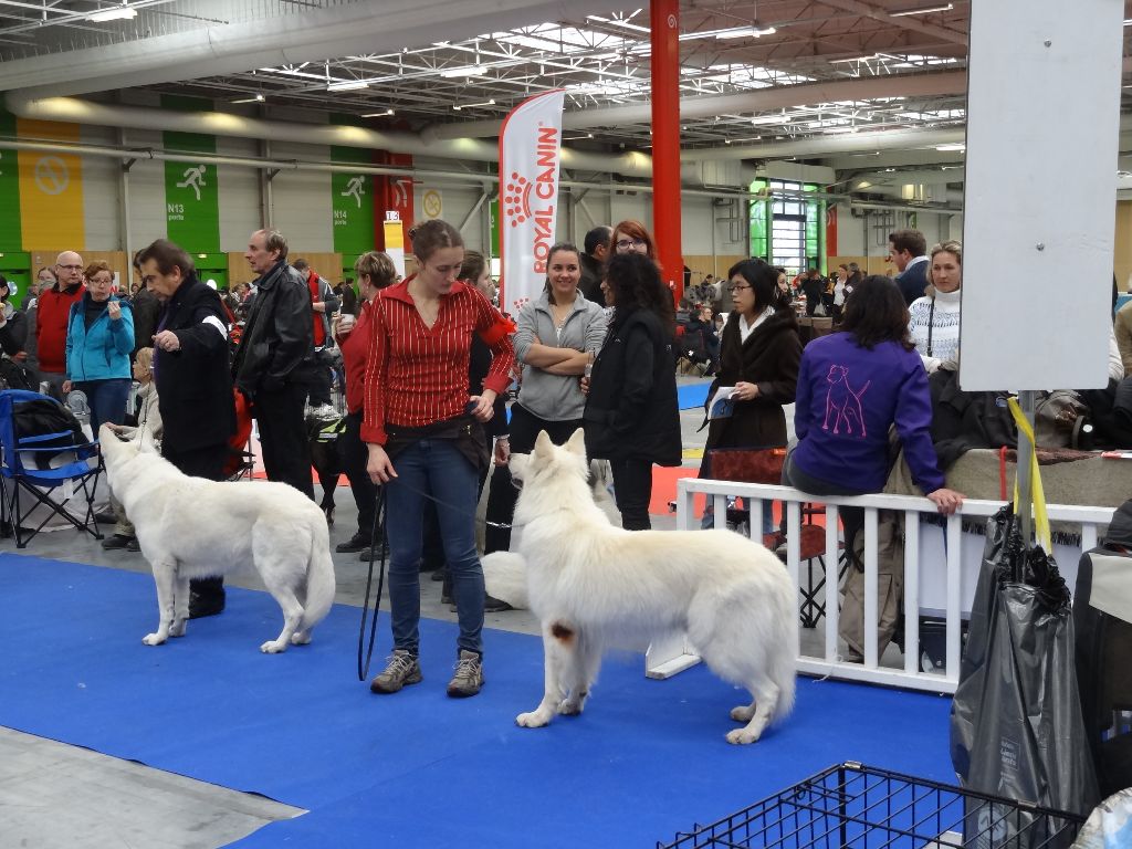 Feeling des Terres de Voldaï - Excellent 2ème